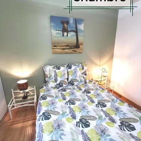 Centre Ville, Parking Gratuit, Petit Dejeuner Apartment