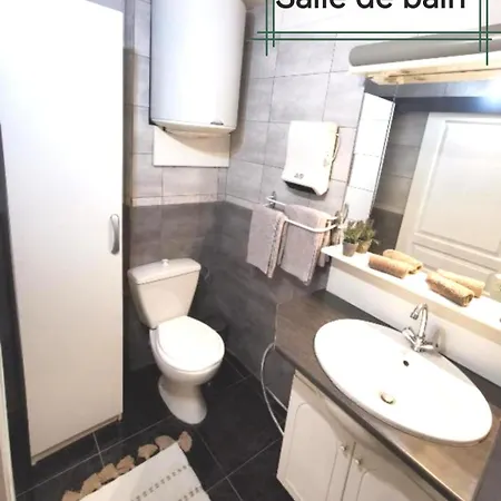 Centre Ville, Parking Gratuit, Petit Dejeuner Apartment Rodez